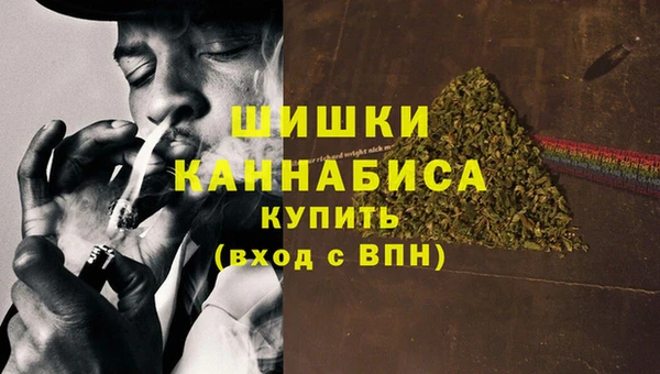 СК Бородино