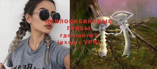 спиды Бронницы
